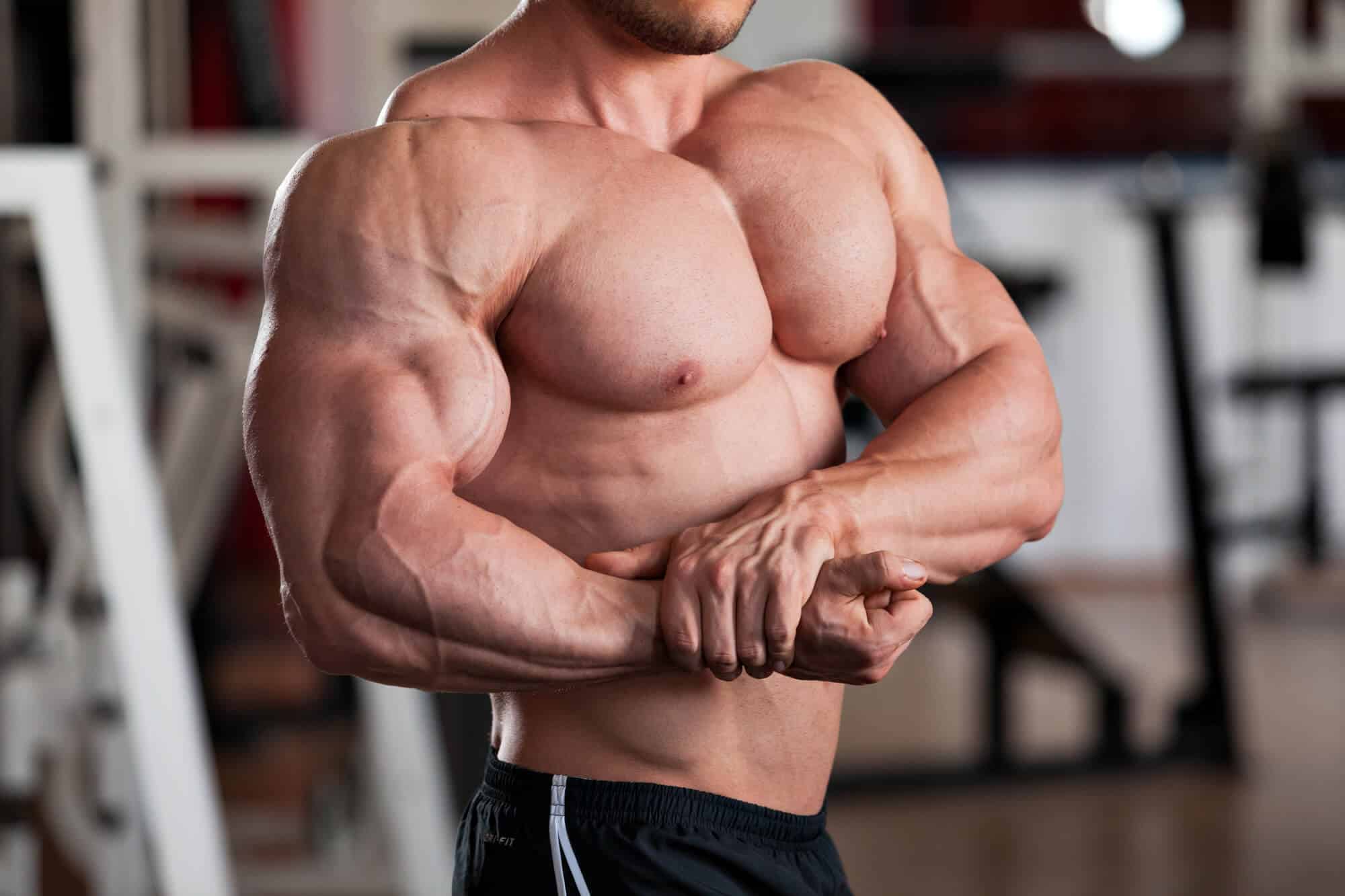 рост мышц груди у мужчин фото 6