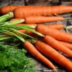 High Fiber Food: Carrots