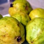 High Fiber Food: Guavas