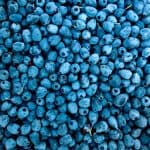 carb_cycling_Blueberries