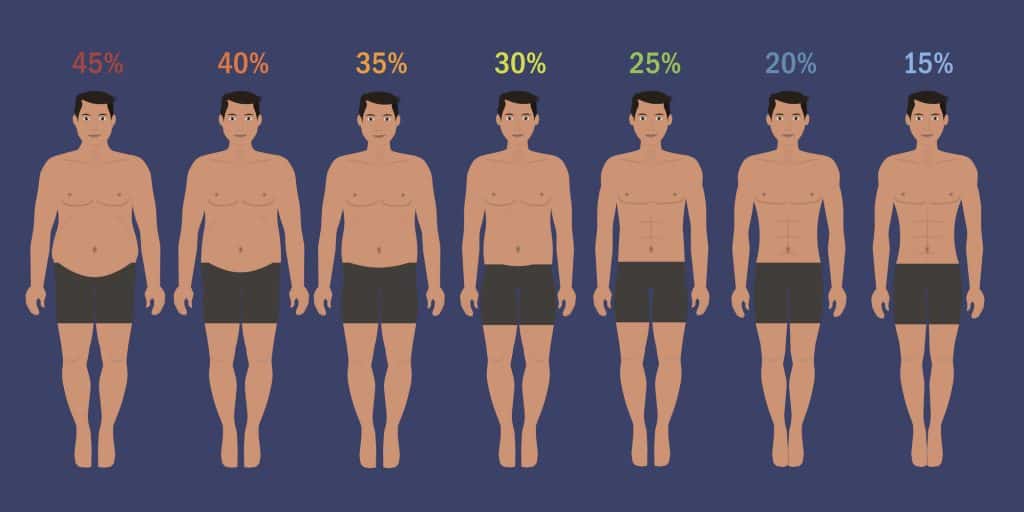 body transformation - body fat percentage Calculator
