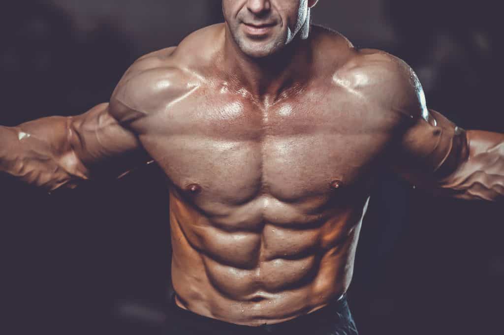 bodybuilding hormones - muscle building