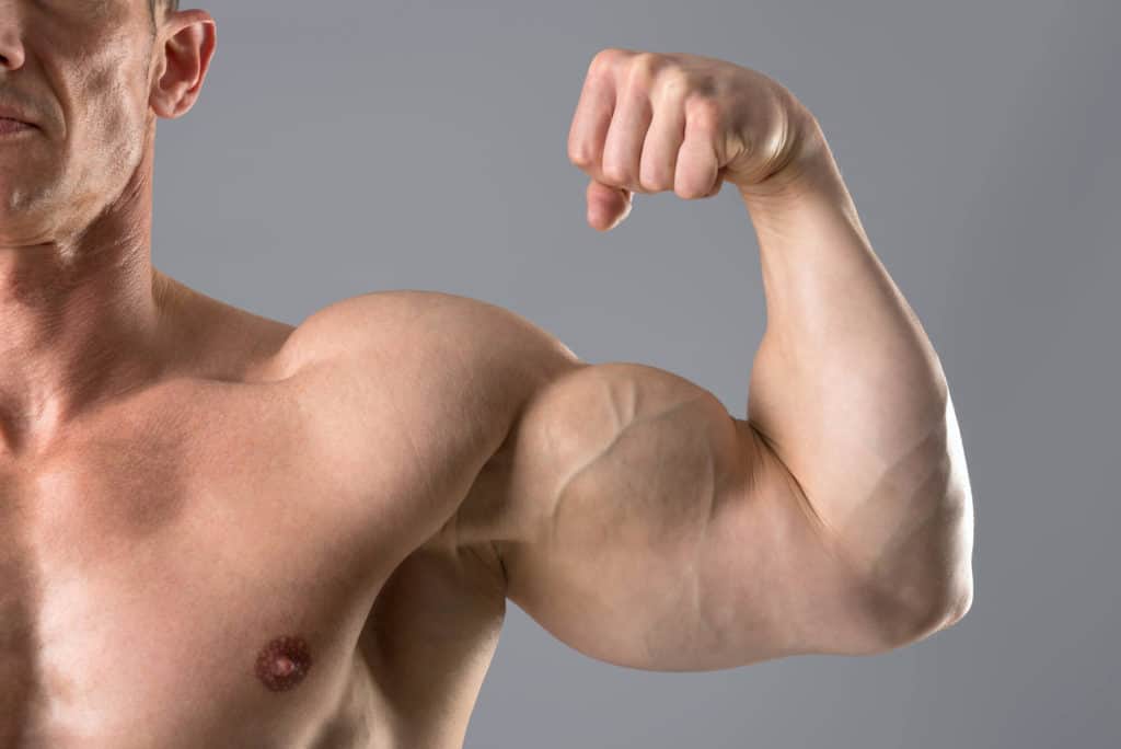Build Bigger Biceps - featured